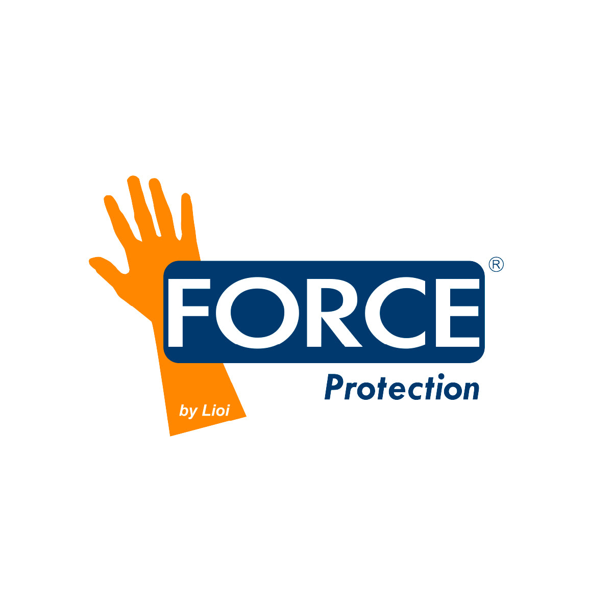 FORCE PROTECTION