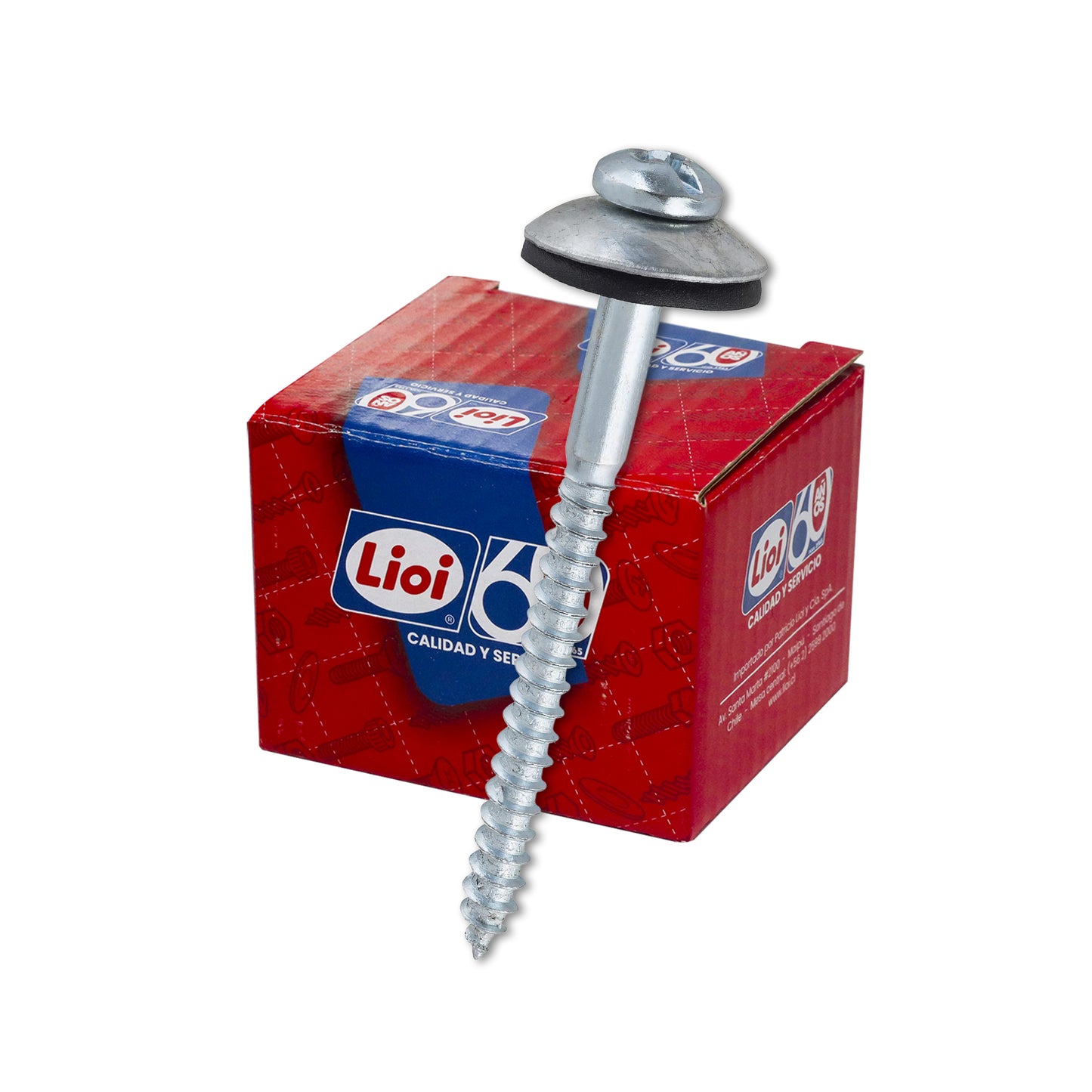 TORNILLO TECHO PUNTA FINA CON GOLILLA